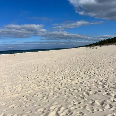 Homar Aktena Shellter *