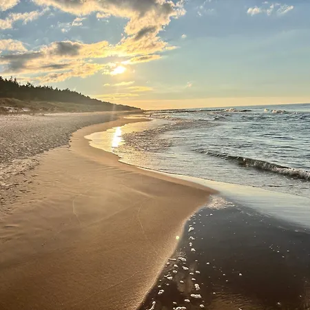 Homar Aktena Shellter