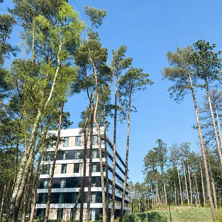 Homar Aktena Shellter Apartmán Rogowo (Gryfice)