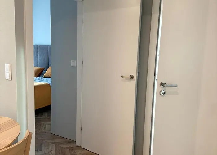 Homar Aktena Shellter *