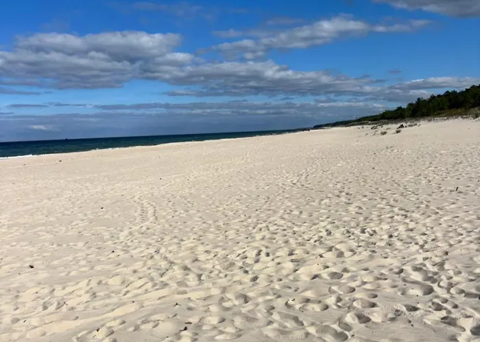 Homar Aktena Shellter *