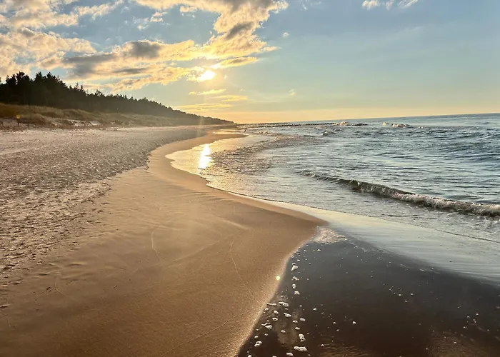 Homar Aktena Shellter